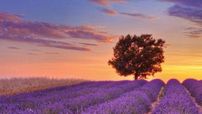 一个人心理是否健康，看这些细节就行了