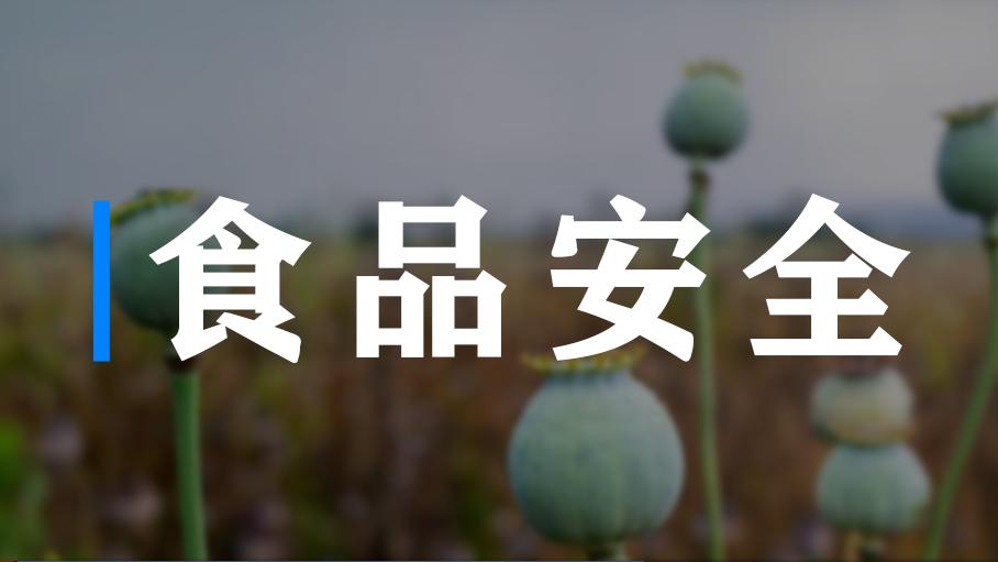用罂粟当汤汁“调味品”？屡禁不绝！