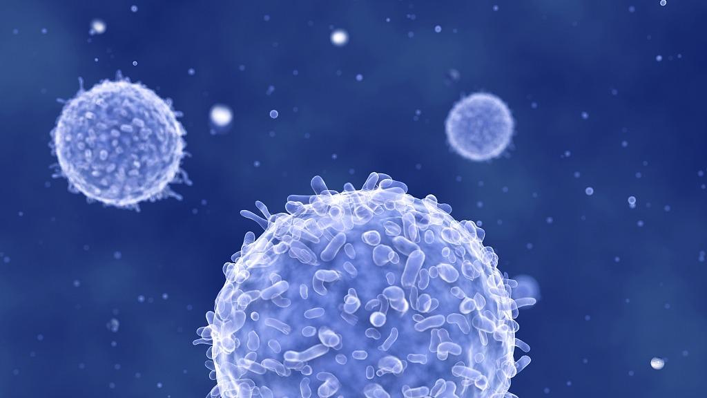 那些被打了假狂犬疫苗的人，现在都变成什么样了？