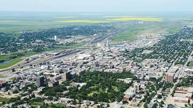 穆斯乔：野性的烙印，文化的传承