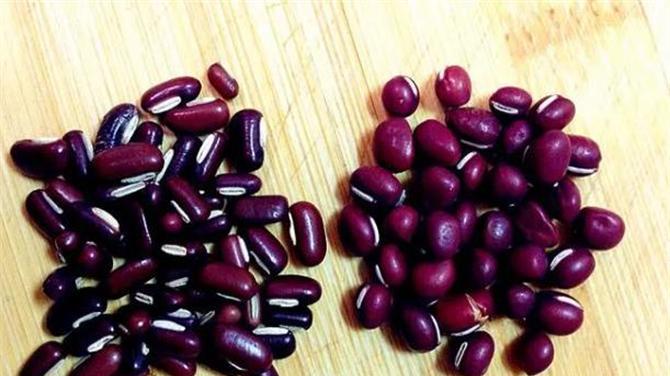 赤小豆和红小豆的区别在哪里？怎么分辨红小豆和赤小豆？