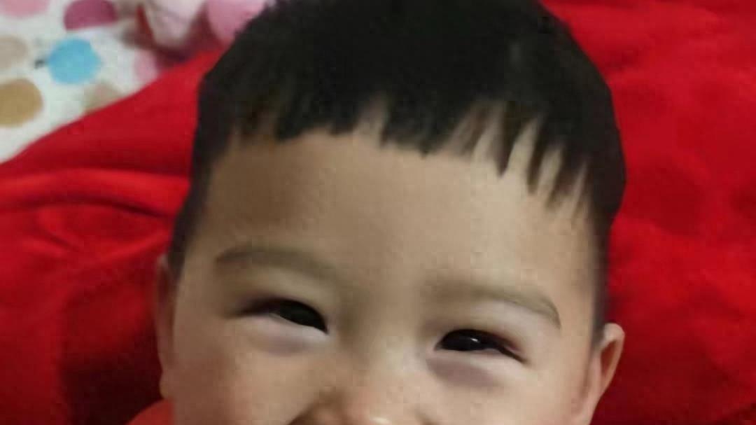 河南2岁落水儿童确认去世！救上来后曾睁开眼睛，母亲晒照太泪目了