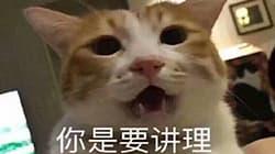 现实又扎心的情感文案短句