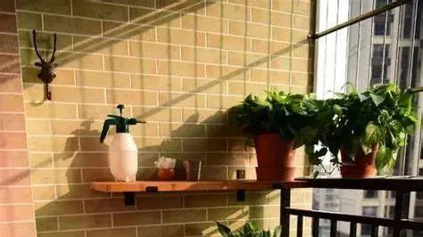 阳台装修这十种东西千万别装，要不然有你后悔的