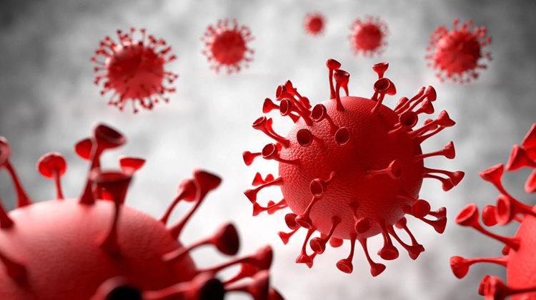医生|研究表示：3种人可能不容易感染新冠病毒，你是“天选之子”吗