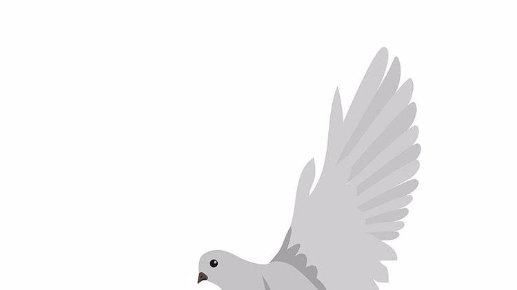 癌细胞|得了癌症，不能吃鸽子肉？提醒：3种“发物”真的要少吃