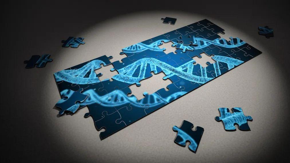 北京一周报告8.6万例再创新高，“免疫债”何时还完？