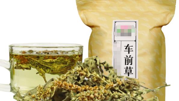 路边的“车前草”是个宝，好多人不知道都扔了！其实入药有大用！
