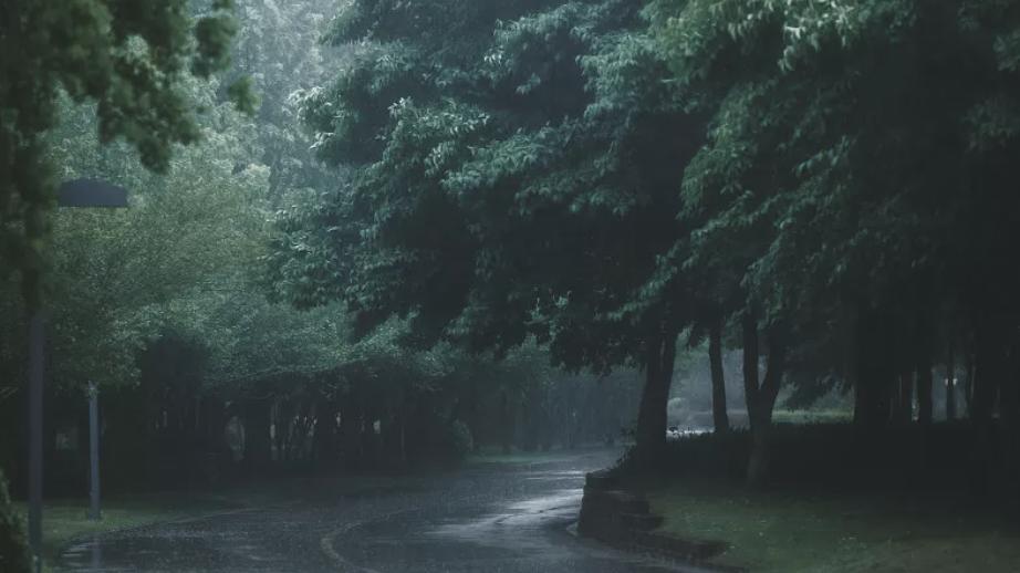 潜伏在英俊黑道大佬身边，他对我百般温柔不求回报，而我却不得不亲手杀了他