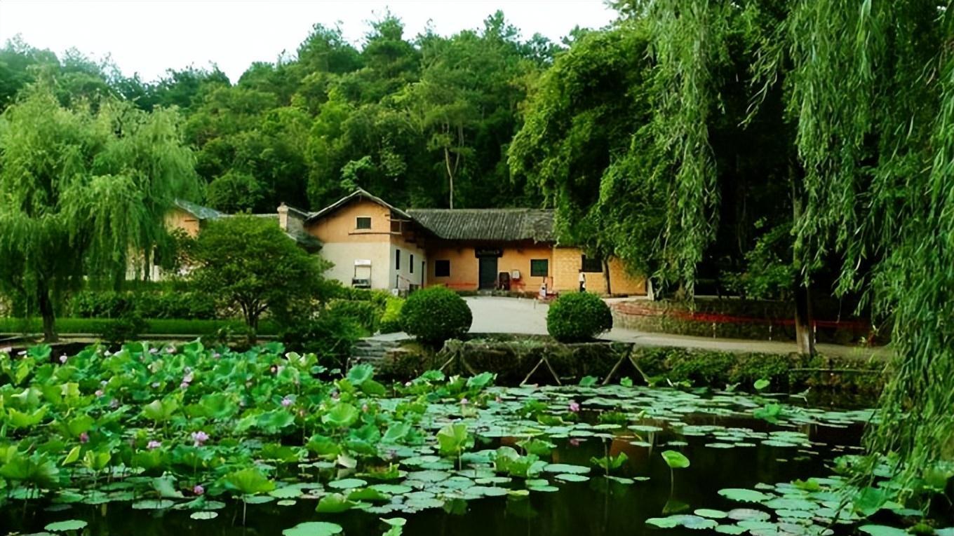 张家界——偷得浮生半日闲，哪得云雾半绕山