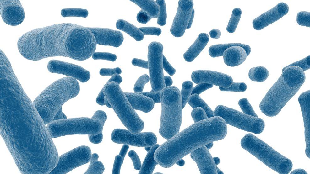 学校食堂餐具频频被检出大肠菌群超标，RETHING抗菌材料守护食安