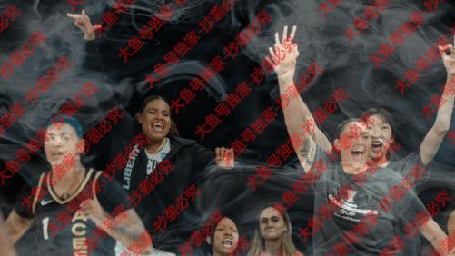 纽约自由击败超级豪门，获得WNBA总裁杯冠军