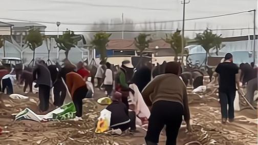 河南周口：女子种红薯未收完遭上百村民哄抢，一人能装一蛇皮袋