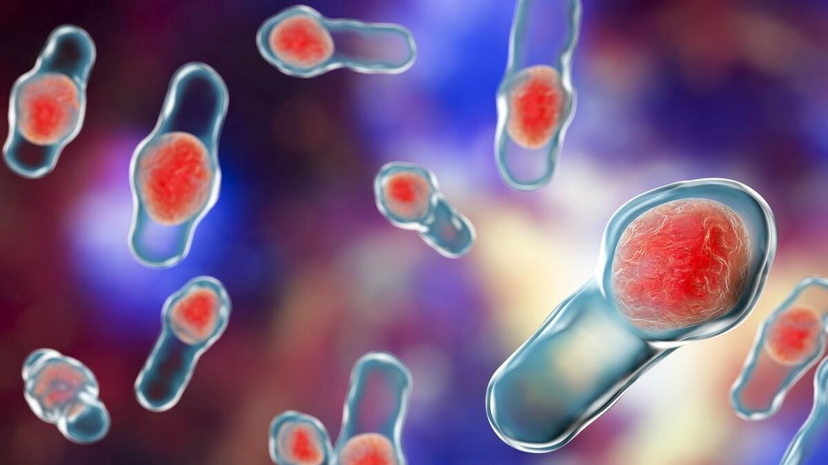 生物进化普遍选择的是衰老，而不是永生，这是为什么？