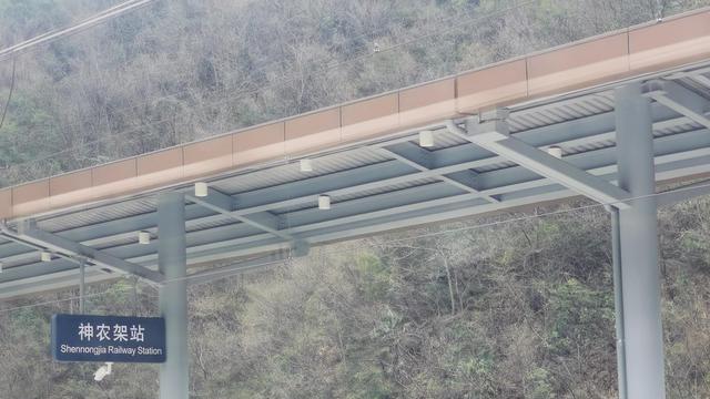 神秘的湖北神农架原始森林，既然没有野人，为何深处至今不让进？
