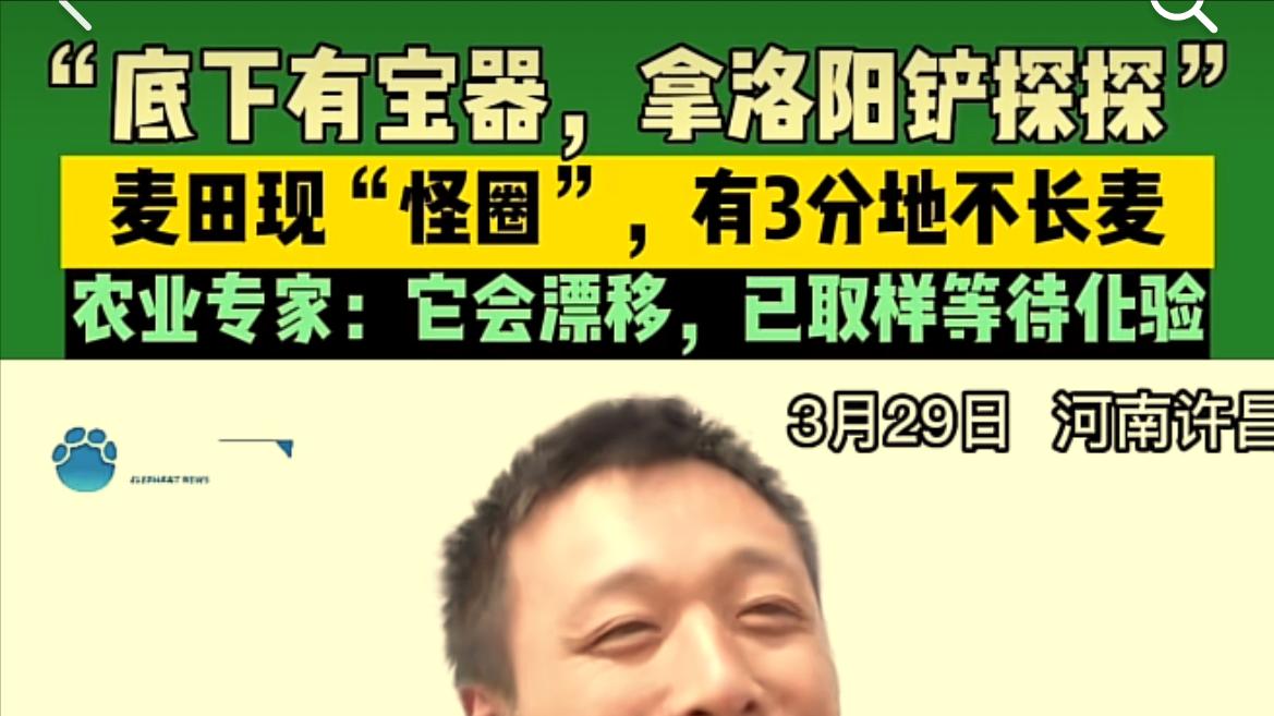 河南惊现“麦田怪圈”，麦苗连续4年枯萎，村民怀疑地下埋有东西