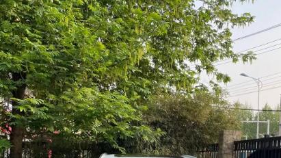 ​聚焦BBA，还是奥迪Q3让我眼前一亮