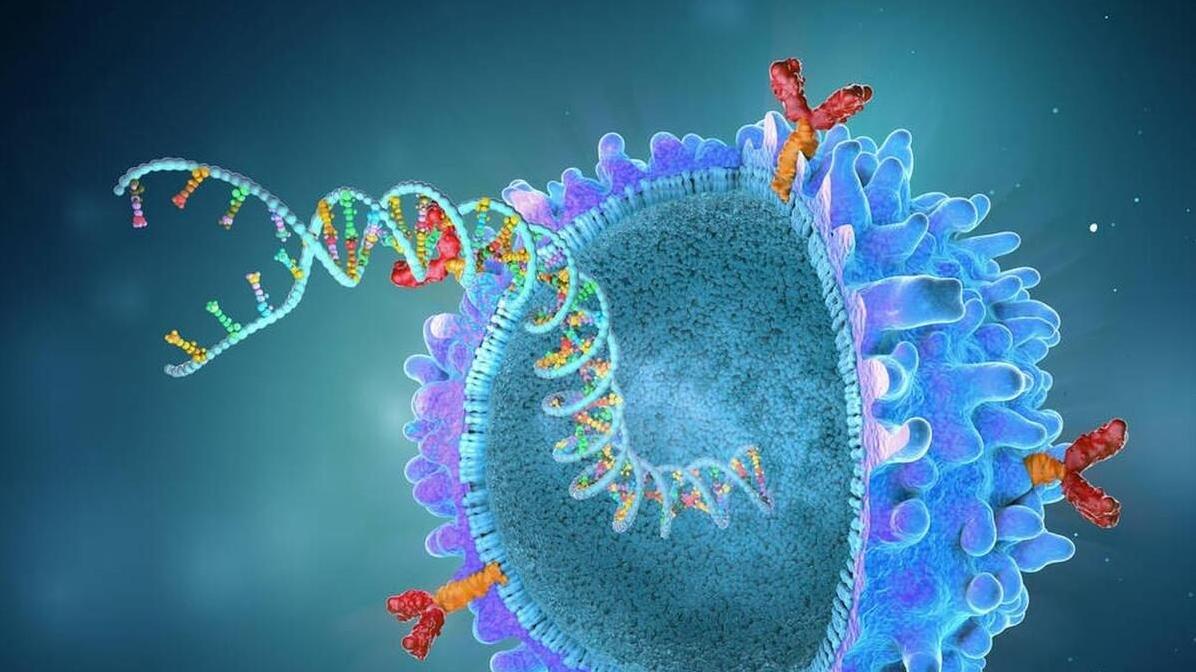 《自然·通讯》新研究：拥有这种能力，更长寿，抗感染能力更强！