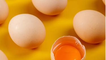 鸡蛋|减肥的人晚上都在吃什么？这些食物既美味又健康