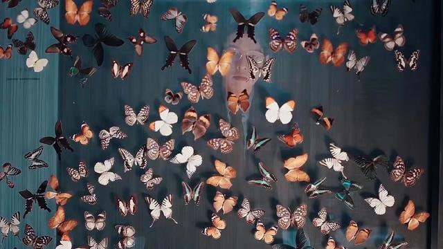 孟宴臣的蝴蝶墙没了！魏大勋破碎感惊人，宋焰许沁被养父母认可了