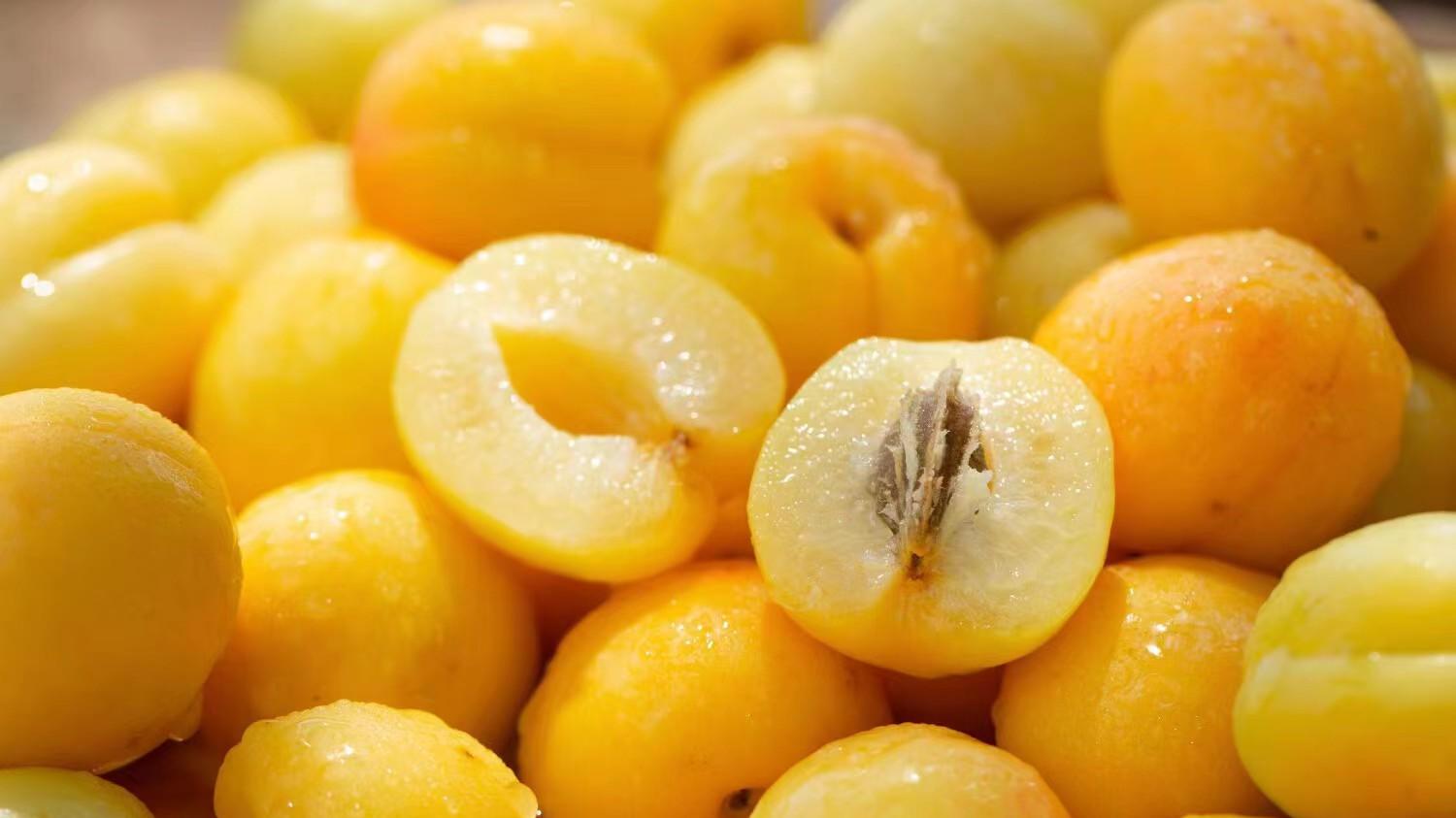 奶呼呼，滑溜溜，超级甜的新疆小白杏来啦！