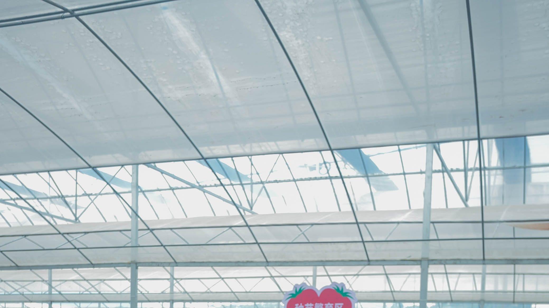 杭州周边的中国草莓之乡，个大口感甜美，每年20万人次体验采摘！