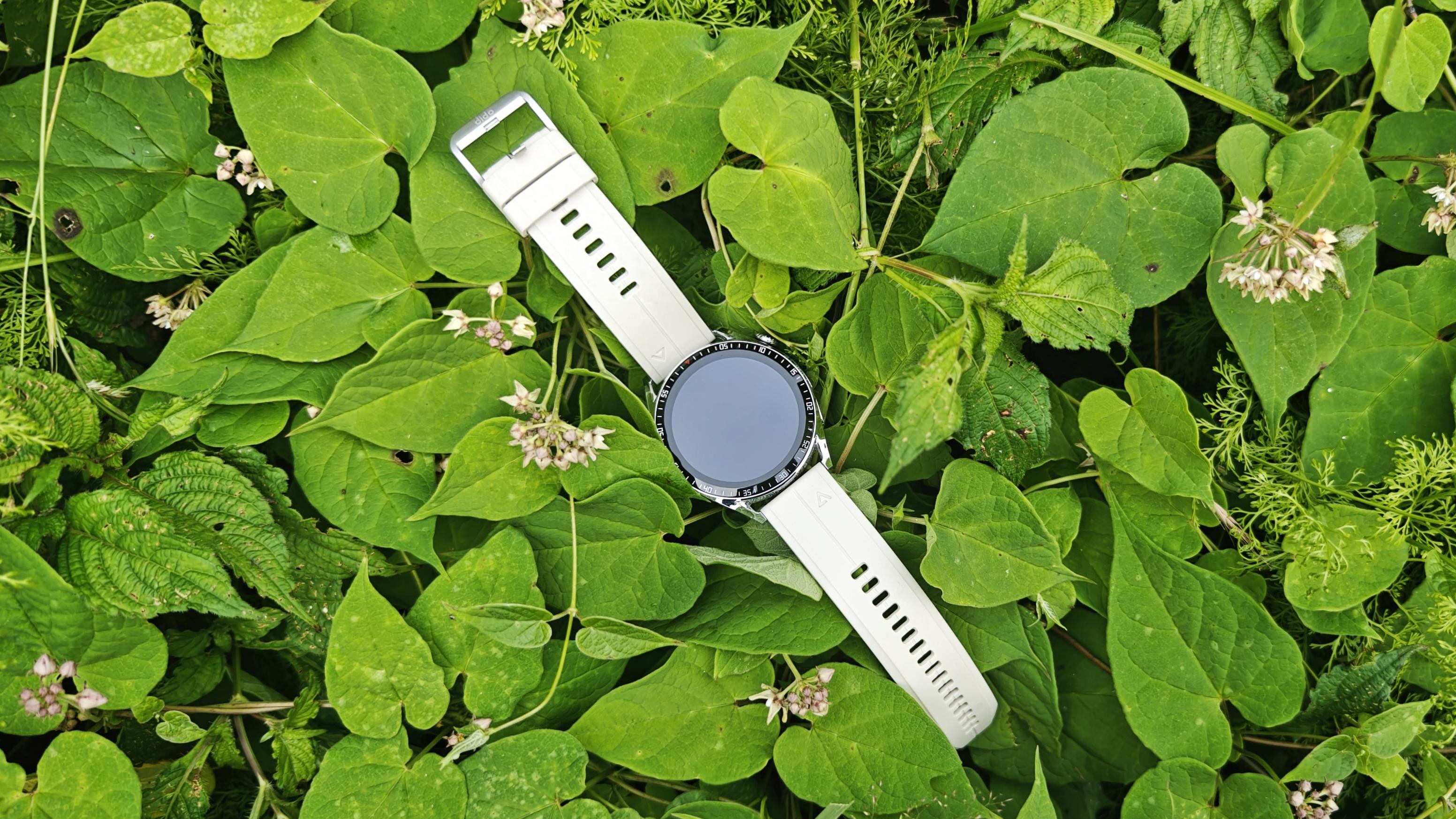 能辅助减肥的手表，你们用过吗? dido TF3S使用体验