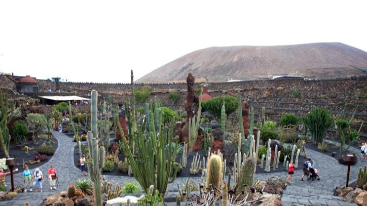 探秘姆巴巴内：走进塞内加尔的热带乐园