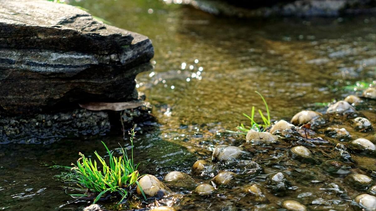 好消息！这项新政策出台，农村改善居住环境有希望了！