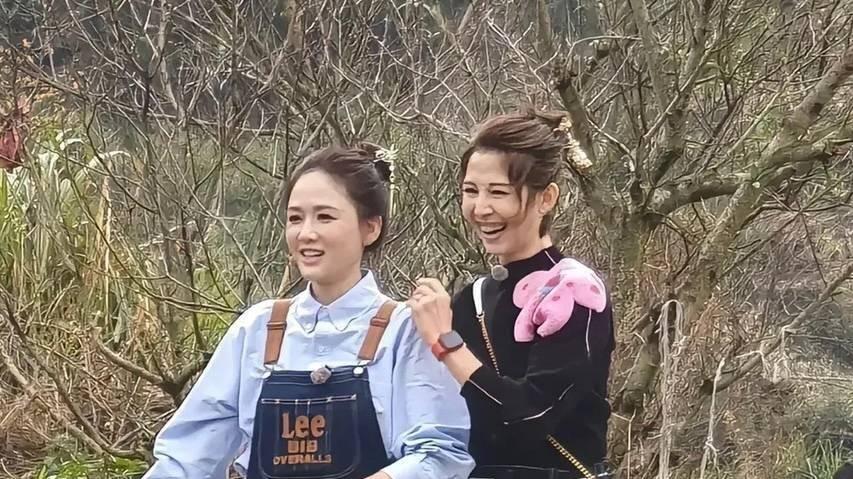微妙三角关系！林心如同框霍建华旧爱陈乔恩，双方维持社交距离