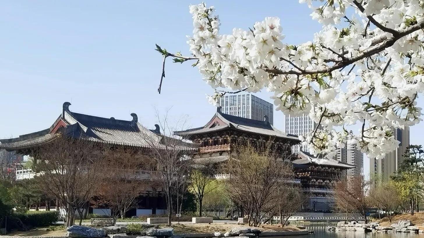 皇家花园寻美景，瑶光殿下看花开，河南这个景点已经进入烂漫季