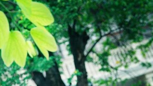 顺其自然，时刻养成习惯，这个就叫无妄