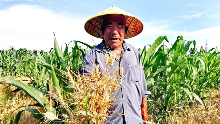 伯父车祸住院，爸妈为大伯家尽心尽力，他们用行动教育了我