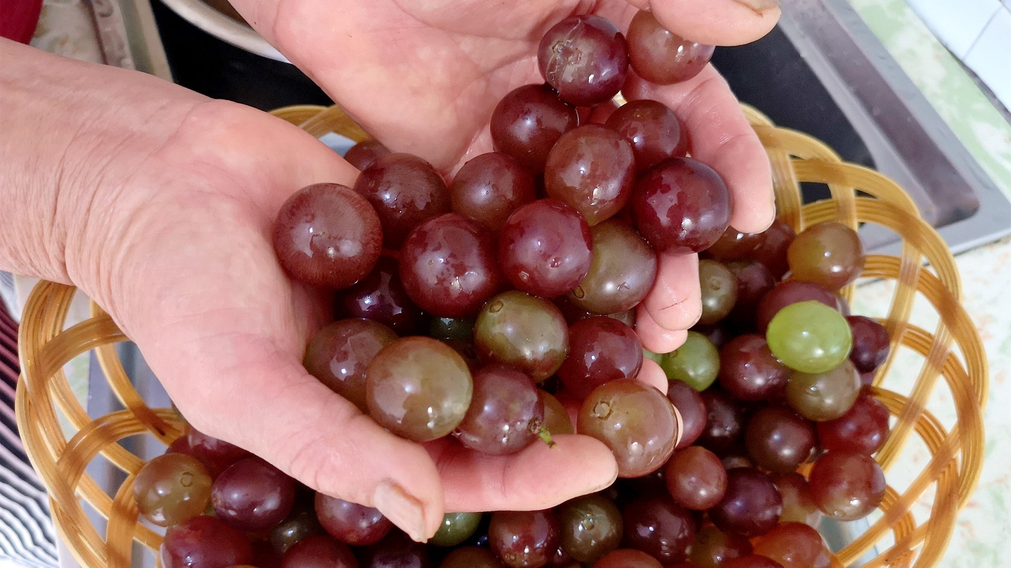 清洗葡萄有人用面，有人用盐？老果农：都不对，这样洗虫卵都跑光