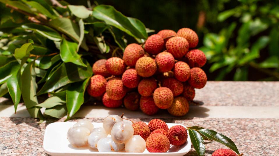 西瓜|荔枝被誉为“果中皇后”，糖尿病人经常吃，是升血糖还是降血糖？