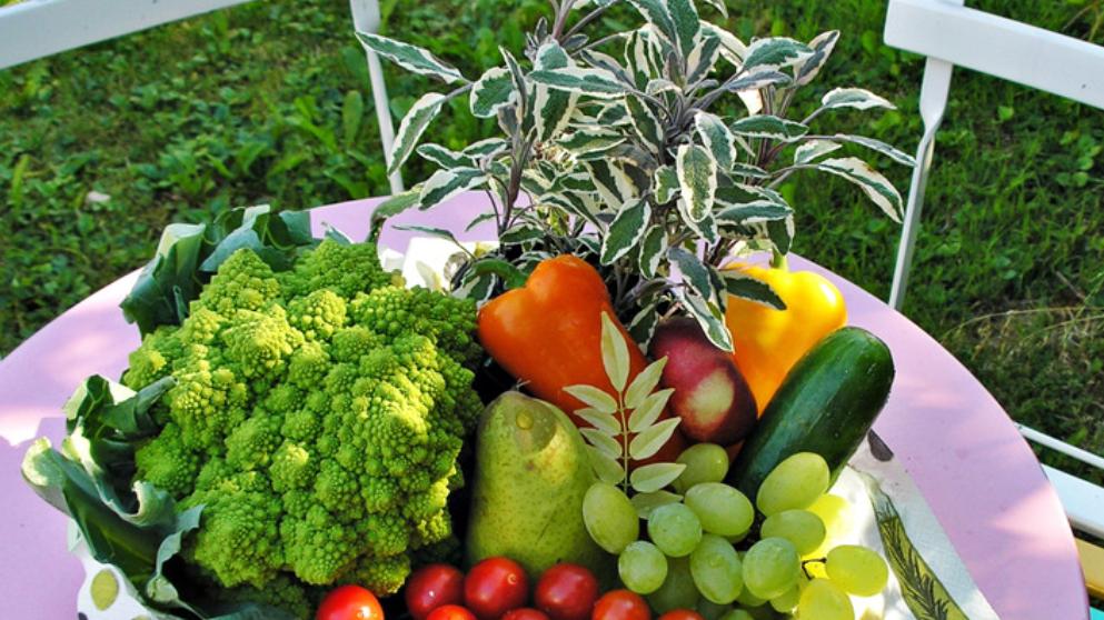 最新研究证明，老人如果有这两种习惯，很容易痴呆