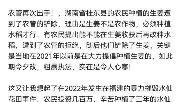 农管打响“第一枪”，湖南农民种姜被铲除，农管：生姜不是农作物
