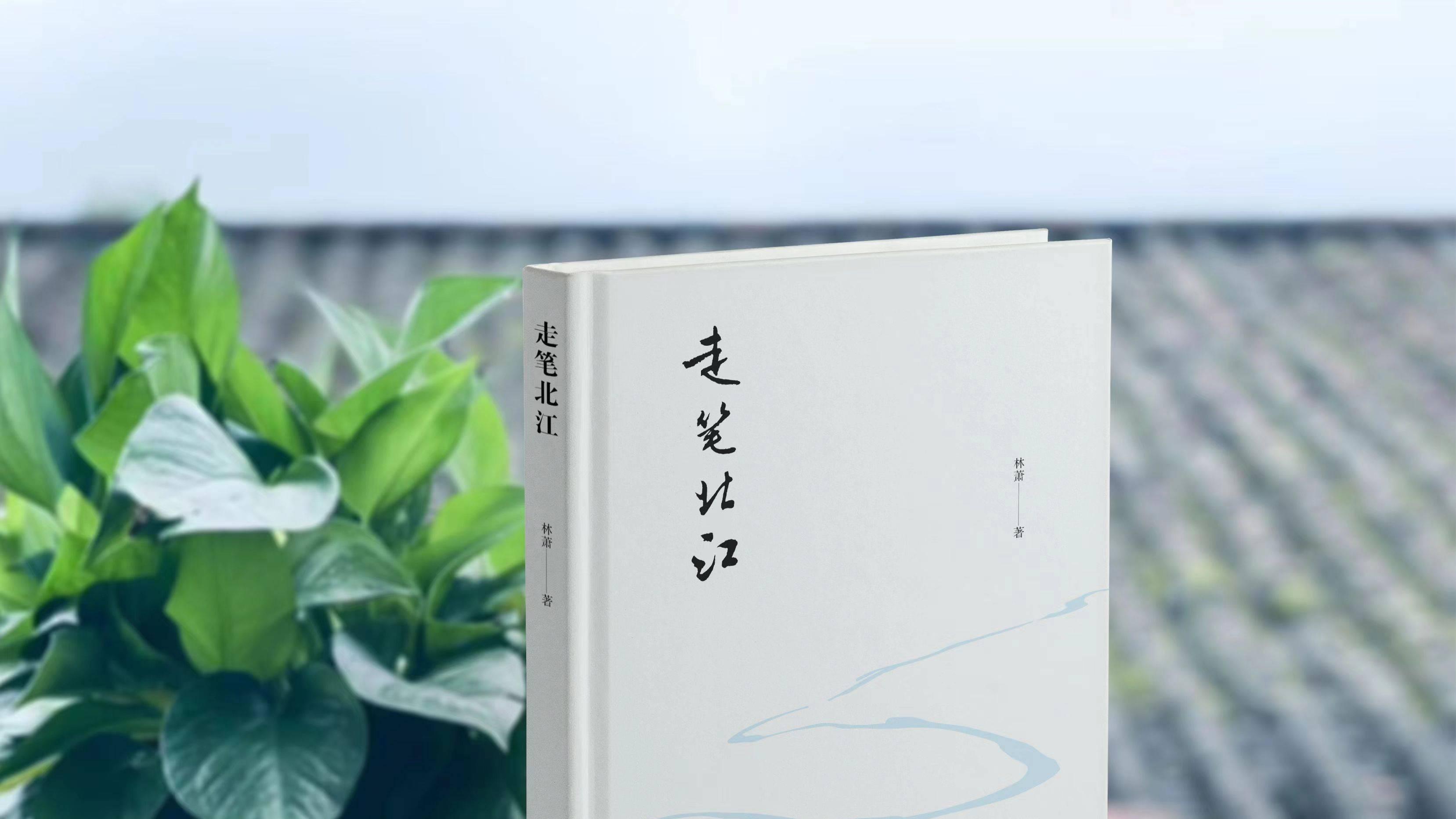 青年作家林萧新作《走笔北江》，记录人间烟火气息