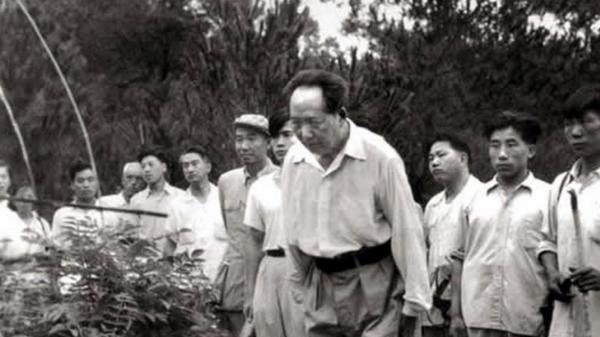 毛泽东时隔32年重回韶山，看到父母坟墓破烂不堪：不要修，就这样