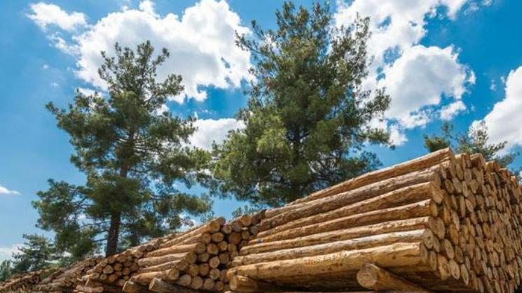 中俄关系生变？俄拒绝与中国合作，却转头将百亿订单交给日本