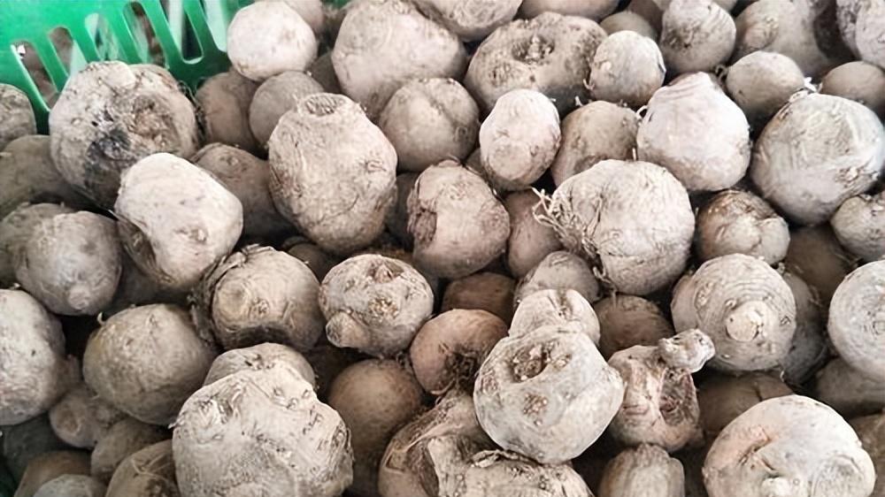 男子先后与母女二人发生关系，导致母女双双怀孕，酿就2尸4命惨案