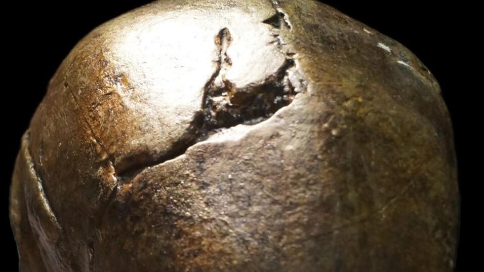 蓝田人2“蓝田女人”的头骨