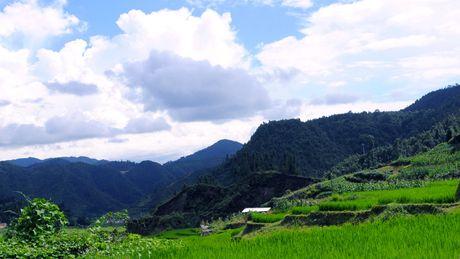 心有多静，路就有多宽，生活就会有多简单