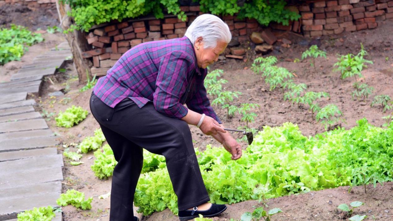 想你，冬去，春来