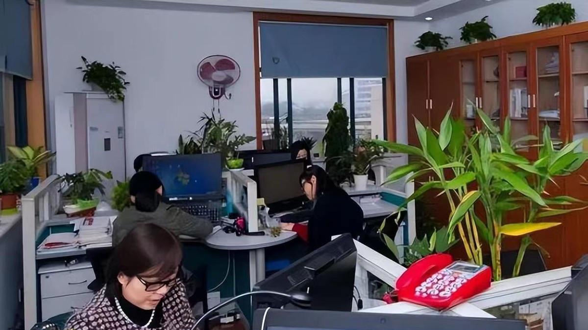 青海发布通知，推动退役军人到中小学任教，家长：教师谁都能当了