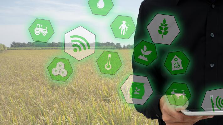 卫星遥感引领农业变革：作物监测、病虫害防治与产量预估