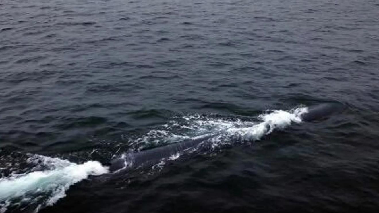 美航母打击群不再安全，朝鲜测试潜水式战略武器，可以毁灭敌舰队