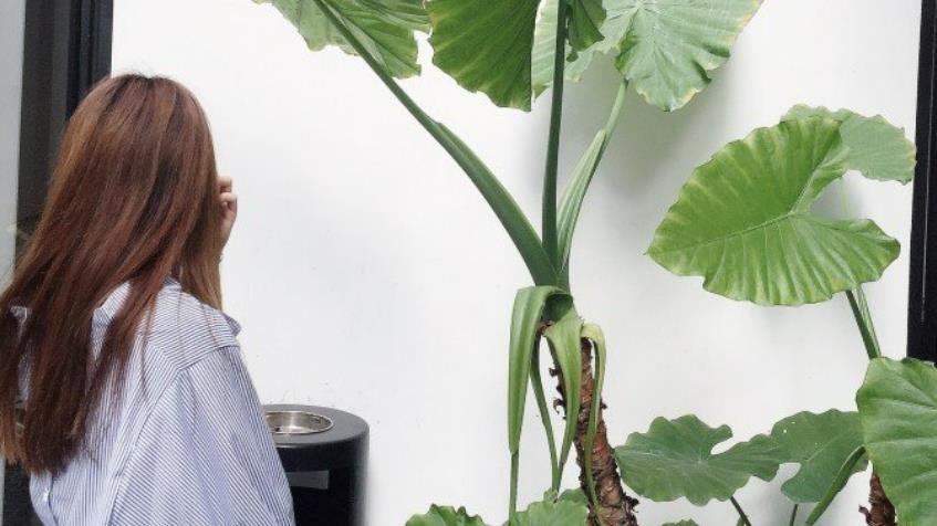 我妈是母男人，我爸是“村草”，她这辈子都把我爸拿捏得死死的