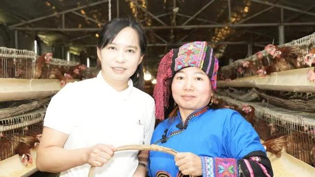 为农服务乡村兴，国泰民安万家宁