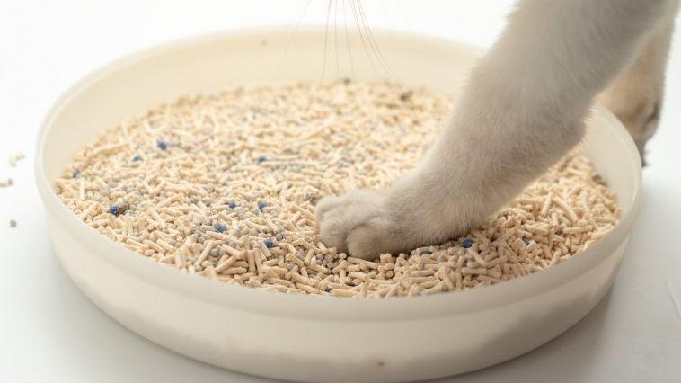 用RETHING®抗菌抗病毒科技，做一款抗菌除臭猫砂产品